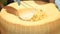 Chef cook preparing Italian pasta in a parmesan