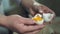 Chef cooking food. Break egg. Closeup. Cooking food. Baking ingredients