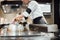 Chef cooking wagyu beef in Japanese teppanyaki