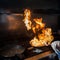 Chef creates a flambe on the frying pan in the restaurant kitchen
