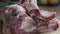 Chef cuts a piece of fresh pork into small slices on cutting board in kitchen