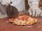 Chef cutting a pizza into slices using a wheel cutter