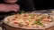 The chef decorates the freshly baked pizza with arugula. Cream-based pizza with salmon, mozzarella cheese, arugula