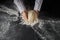 Chef displaying a portion of raw dough