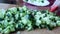 Chef female slices green ripe cucumber preparing vegetable salad