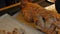 Chef Hands cutting whole grilled pig knife on cutting board.