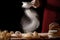 Chef hands sprinkling preparing bread dough and doughnuts with icing sugar on wooden table isolated on black background