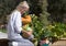 Chef Harvesting Vegetables