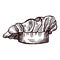 Chef hat sketch isolated. Kitchen traditional element for cook in hand drawn style