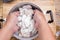 Chef mixing flour to chicken wings for cooking