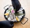 Chef opens a fresh oyster. Dish with open oysters. Restaurant.