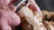 Chef peeling raw fresh jerusalem artichokes or ginger close up.