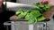 The chef pours chopped spinach from cutting wooden board