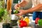 Chef preparing vegetables