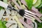 Chef Salad With Fork Close View