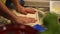 chef shaping the dough to make pizza, restaurant kitchen