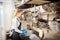 Chef of small restaurant washing dishes in sink at end of working day â€“ kitchen worker using sponge to clean dishes