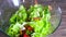 Chef watering salad with olive oil. a thin stream of oil pours on top of a fresh salad of natural vegetables in a large glass Cup.