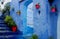 Chefchaouen street with colorful blue flower pots, Morocco