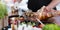 Cheff serving traditional meat dish on street stall on street food festival, Ljubljana, Slovenia.