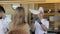 Chefs cook in white uniform for clients on the bar table at the open kitchen of the restaurant