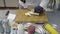Chefs hands in black latex gloves cutting slices of lemon grass in cutting board. Kitchen table with kitchenware and