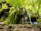 Cheile Nerei Beusnita waterfall in the National Park Nera Gorges