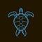 Cheloniidae Turtle Wildlife. Line Symbol icon logo.