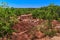 Cheltenham Badlands background is a small example of badlands formation in Caledon. On.