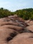 Cheltenham Badlands near Toronto, Ontario, Canada