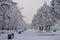 Chelyabinsk. Gagarin`s park in the winter