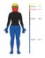 Chemical Composition Human Body Female Chemical Elements