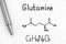 Chemical formula of Glutamine with pen