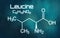 Chemical formula of Leucine on a futuristic background