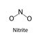 The chemical formula of nitrite. Infographics. Vector illustration on isolated background.