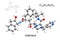 Chemical formula, skeletal formula and 3D ball-and-stick model of protease inhibitor, antiretroviral drug indinavir