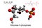 Chemical formula, skeletal formula and 3D ball-and-stick model of ribulose 5-phosphate