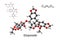 Chemical formula, structural formula and 3D ball-and-stick model of the anticancer drug etoposide, white background