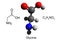 Chemical formula, structural formula and 3D ball-and-stick model of glycine