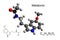 Chemical formula, structural formula and 3D ball-and-stick model of hormone melatonin