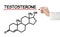 Chemical formula of testosterone