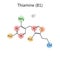 Chemical formula thiamine vitamin B1 science