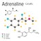 Chemical formula of the vector adrenaline molecule