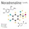 Chemical formula of a vector noradrenaline molecule