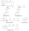 Chemical formulas of liposoluble vitamins