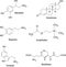 Chemical formulas of neurotransmitters and similar substances in human body