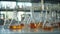 Chemical medicine laboratory set of volumetric glassware bottles for researh