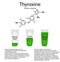 The chemical molecular formula of the hormone thyroxine. Thyroid hormone. Decrease and increase of thyroxine.