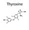 The chemical molecular formula of the hormone thyroxine. Thyroid hormone. Infographics. Vector illustration
