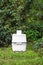 Chemical portable toilet. Single portable toilet standing on green nature courtyard background